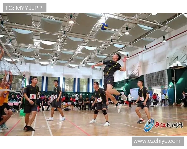 上海排球队状态分析:聚焦球队表现与未来发展方向 上海排球队状态分析:聚焦球队表现与未来发展方向