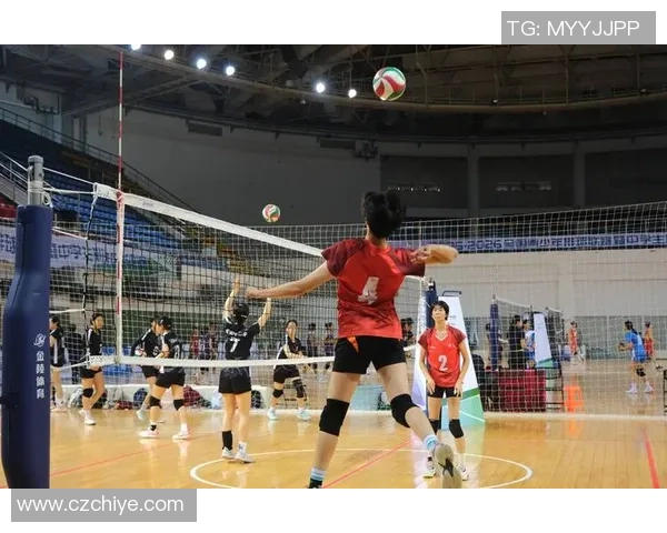 成都排球队在洲际杯中的耐力表现值得称赞展现出顽强拼搏的精神风貌