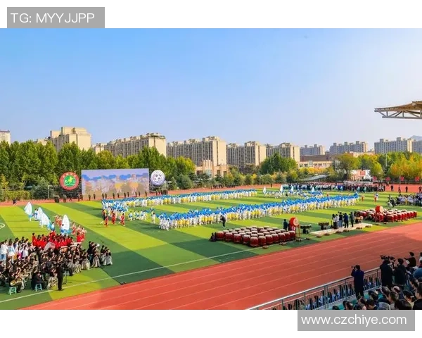 又收集足球的乐趣与激情探索足球文化的多样性与魅力